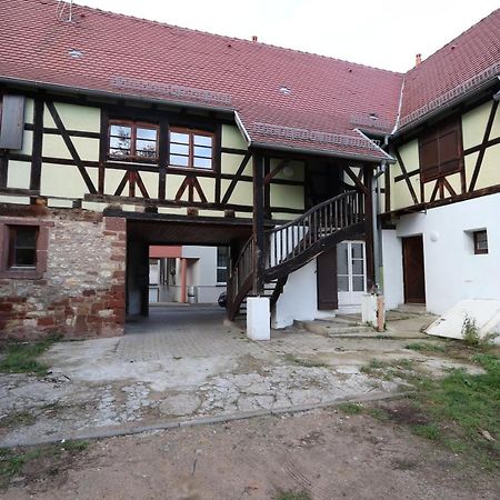 Homeday Cultivateur N°2 Appartement Type F3 Haguenau Eksteriør billede