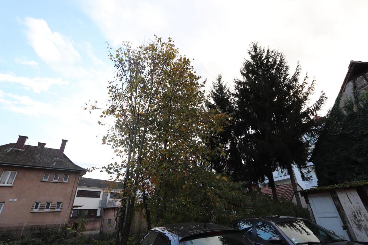 Homeday Cultivateur N°2 Appartement Type F3 Haguenau Eksteriør billede