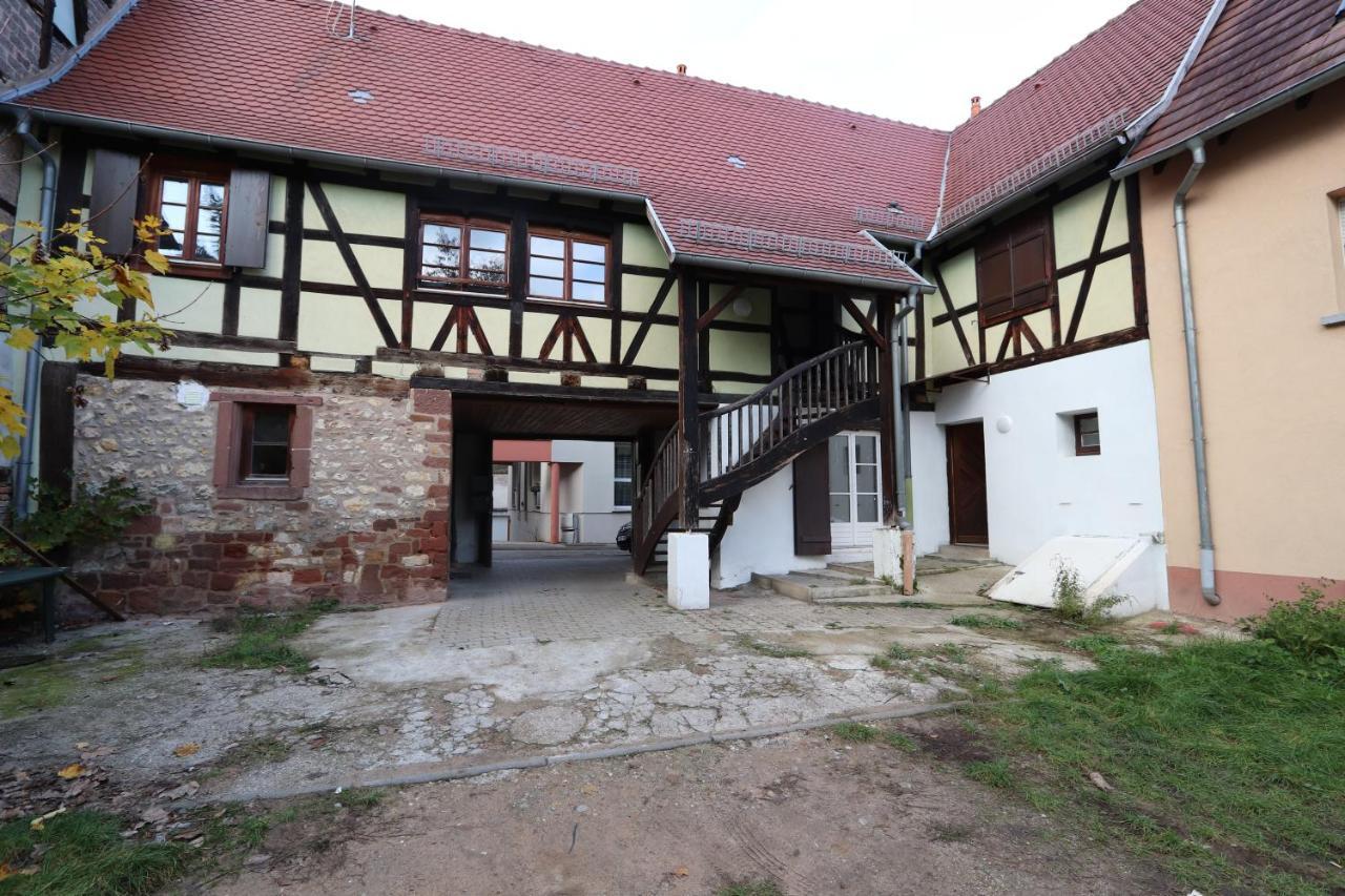 Homeday Cultivateur N°2 Appartement Type F3 Haguenau Eksteriør billede